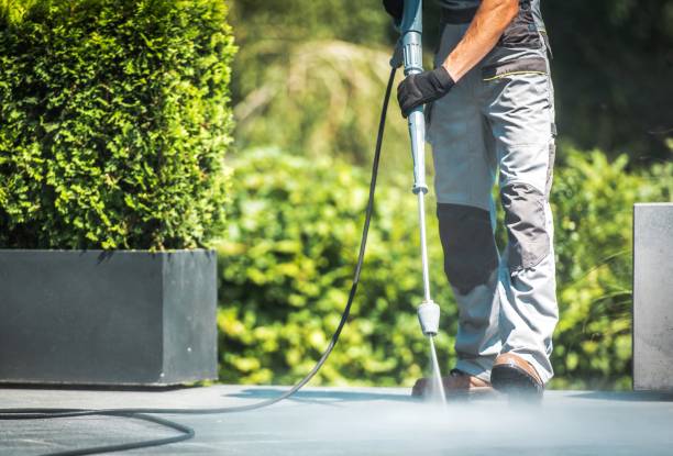 Best Roof Washing  in Jasmine Estates, FL