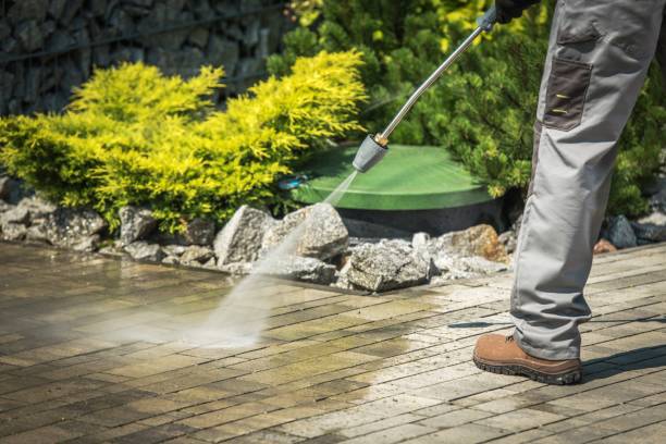 Best Warehouse Cleaning  in Jasmine Estates, FL