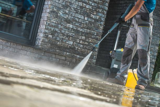 Best Gutter Cleaning  in Jasmine Estates, FL
