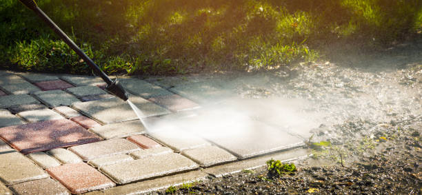 Spring Cleaning in Jasmine Estates, FL