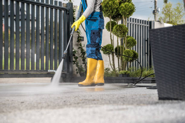Best Sidewalk and Walkway Cleaning  in Jasmine Estates, FL